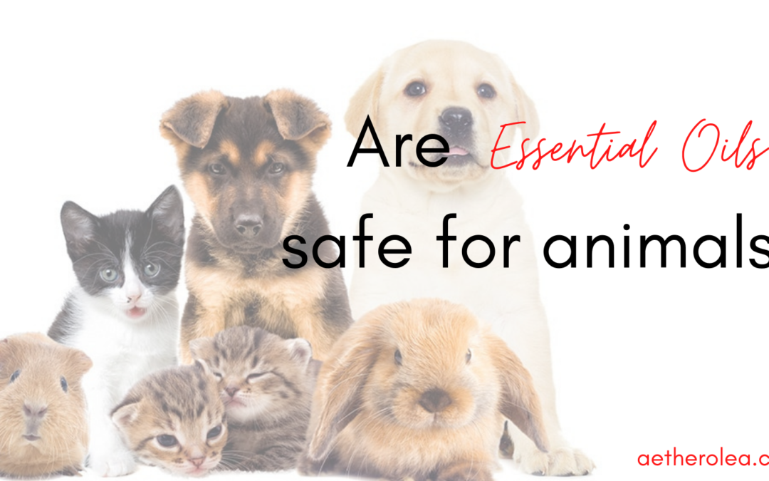 Are essential oils safe for animals