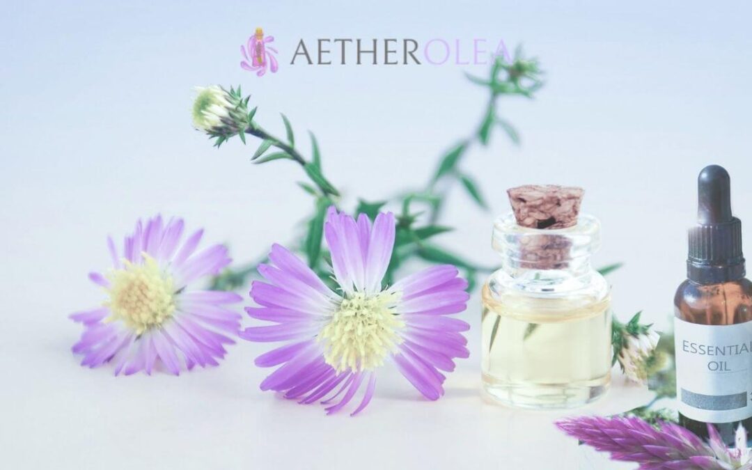 Best Aromatherapy and Essential Oil Courses Online