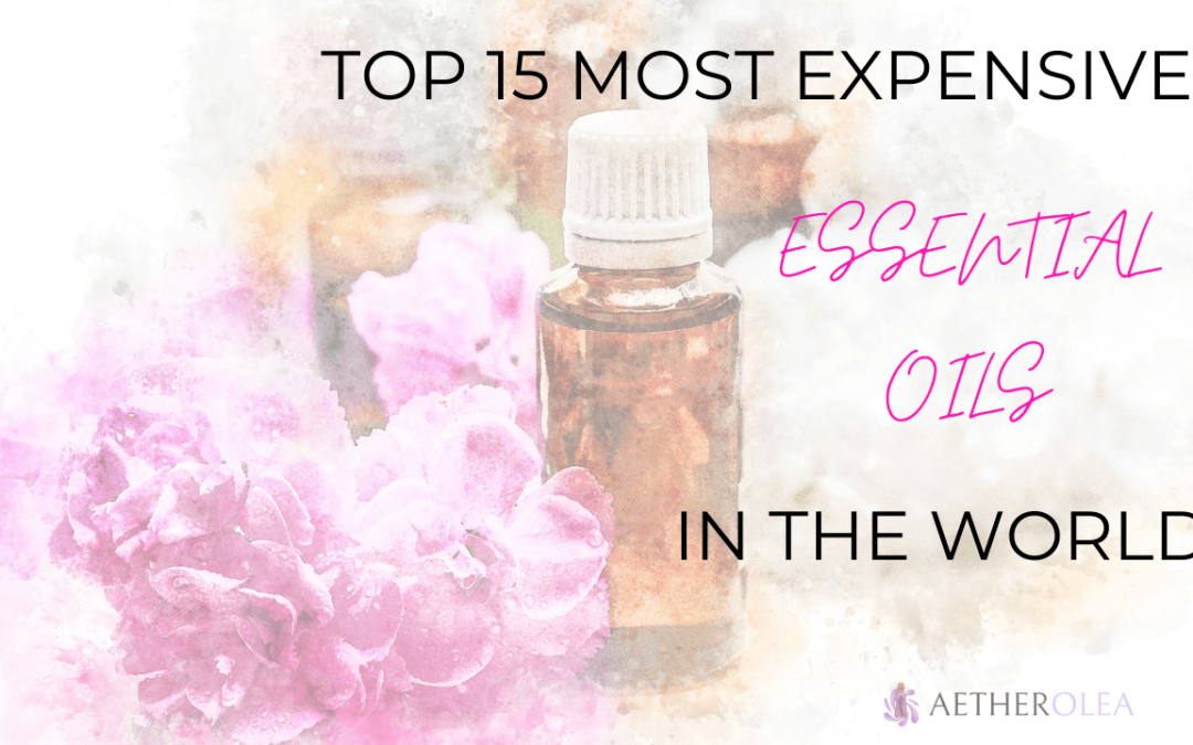 Top 15 Most Expensive Essential oils in The World