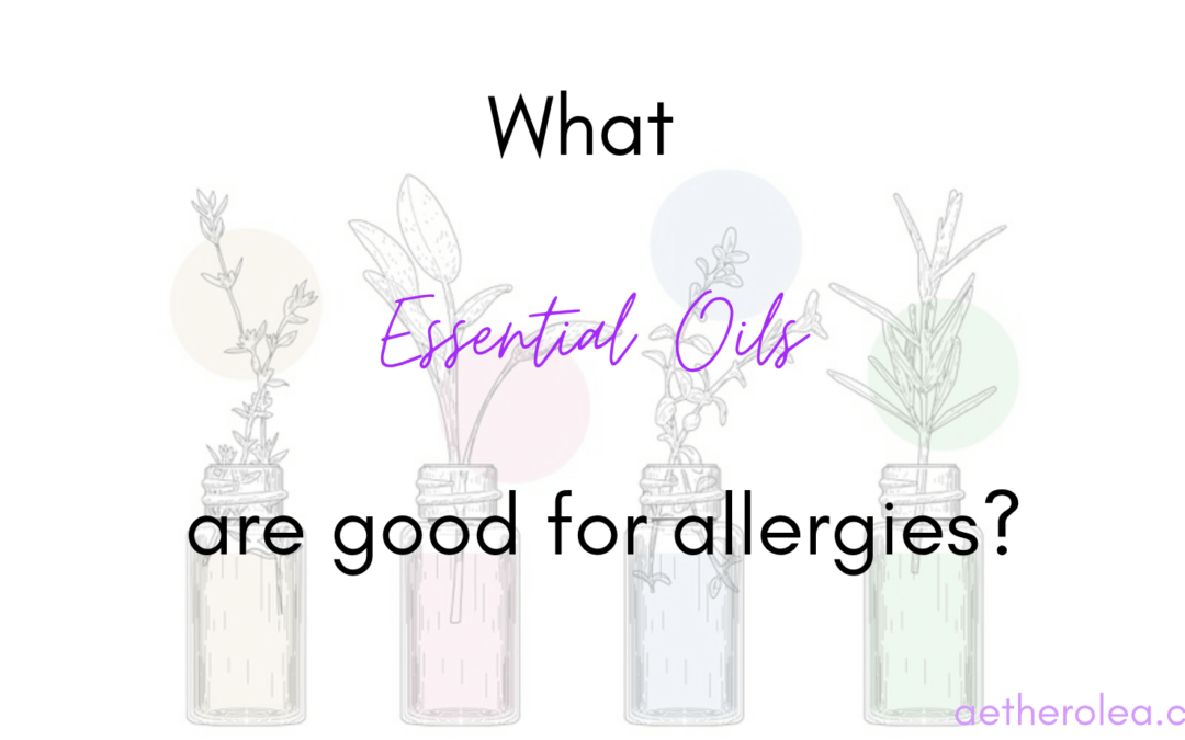 essential-oils-are-good-for-allergies