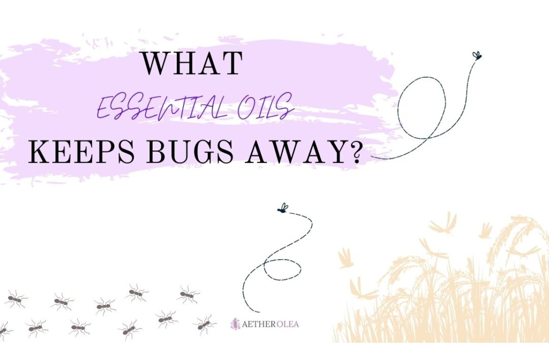 What Essential Oils Keep Bugs Away?