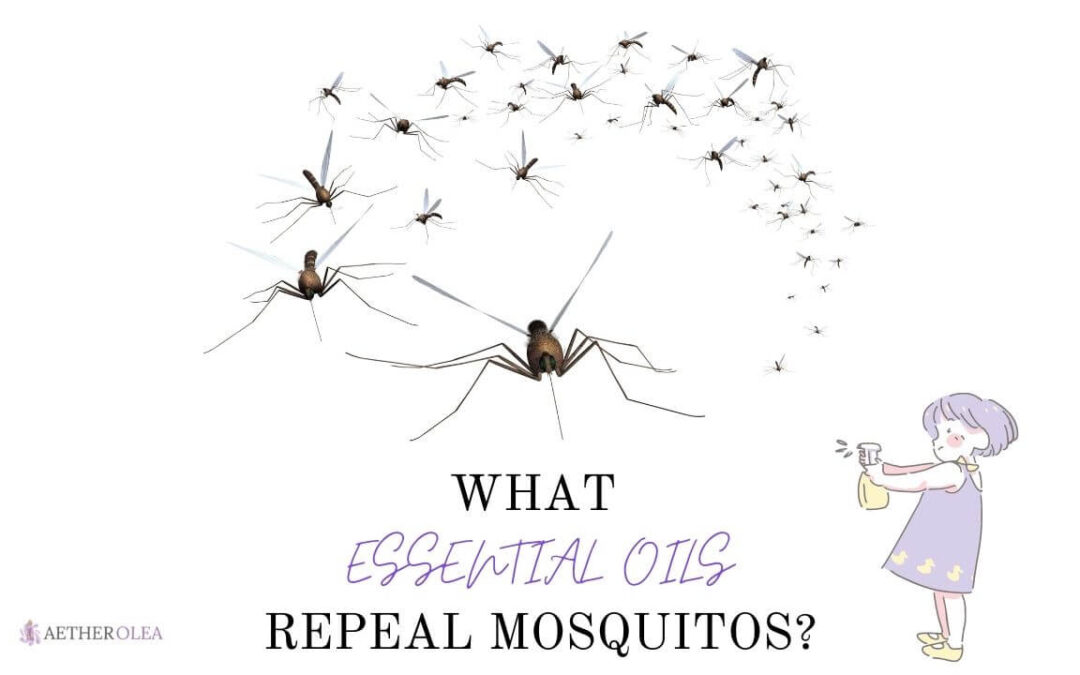 What Essential oils repeal mosquitos